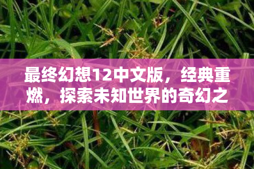 最终幻想12中文版,经典重燃,探索未知世界的奇幻之旅,最终幻想12中文版重燃经典,开启探索未知世界的奇幻之旅 最终幻想12中文版,经典重燃,探索未知世界的奇幻之旅,最终幻想12中文版重燃经典,开启探索未知世界的奇幻之旅