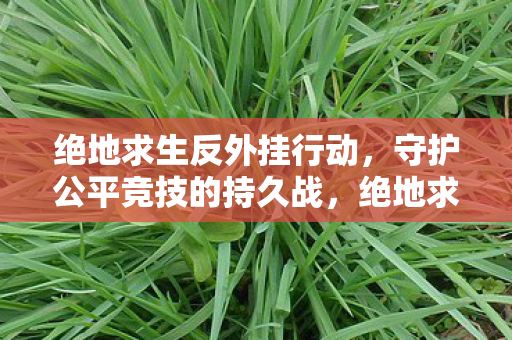 绝地求生反外挂行动,守护公平竞技的持久战,绝地求生,反外挂行动,守护公平竞技的持久战 绝地求生反外挂行动,守护公平竞技的持久战,绝地求生,反外挂行动,守护公平竞技的持久战