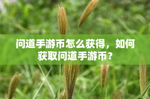 问道手游币怎么获得,如何获取问道手游币? 问道手游币怎么获得,如何获取问道手游币?
