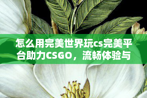 怎么用完美世界玩cs完美平台助力CSGO，流畅体验与便捷操作全解析，完美平台助力CSGO，流畅体验与便捷操作全解析