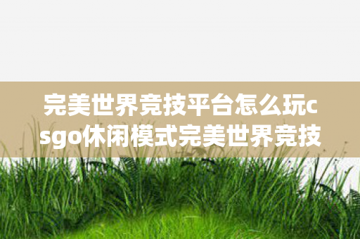 完美世界竞技平台怎么玩csgo休闲模式完美世界竞技平台，深度解析CSGO玩法，完美平台如何玩转CSGO休闲模式？深度解析玩法攻略