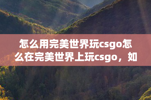怎么用完美世界玩csgo怎么在完美世界上玩csgo图片