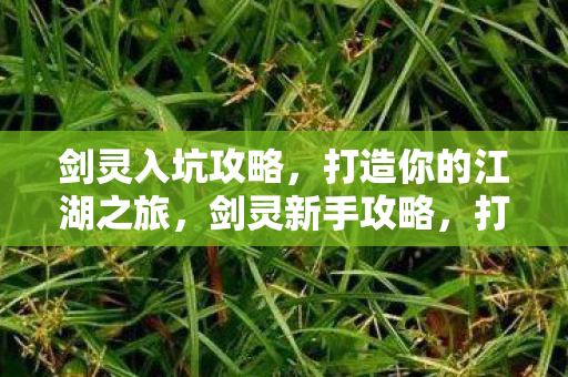 打造你的江湖之旅图片
