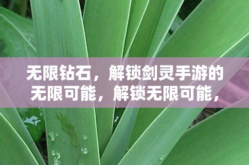 无限钻石助你畅游剑灵手游图片