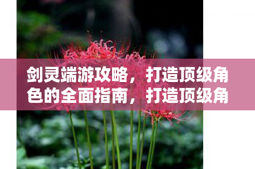 剑灵端游攻略,打造顶级角色的全面指南,打造顶级角色,全面指南助你征服剑灵端游 剑灵端游攻略,打造顶级角色的全面指南,打造顶级角色,全面指南助你征服剑灵端游
