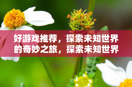 好游戏推荐，探索未知世界的奇妙之旅，探索未知世界的奇妙之旅，好游戏推荐