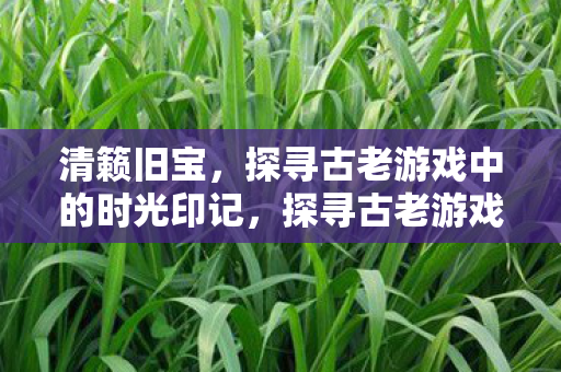 清籁旧宝，探寻古老游戏中的时光印记，探寻古老游戏中的时光印记，清籁旧宝
