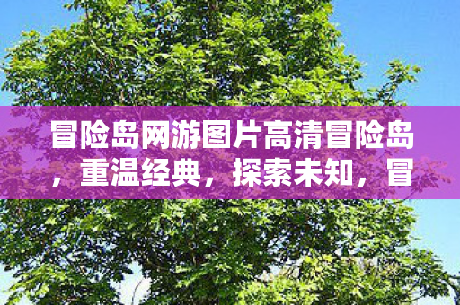 冒险岛网游图片高清冒险岛图片