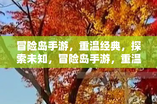 探索未知之旅图片