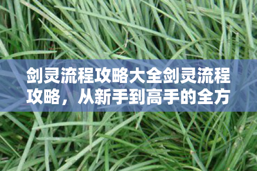 剑灵流程攻略大全剑灵流程攻略，从新手到高手的全方位指南，新手到高手剑灵流程攻略大全，全方位指南
