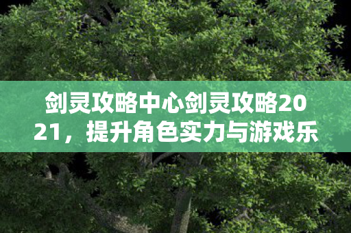 剑灵攻略中心剑灵攻略2021，提升角色实力与游戏乐趣的全方位指南，2021剑灵攻略，提升角色实力与游戏乐趣的全方位指南