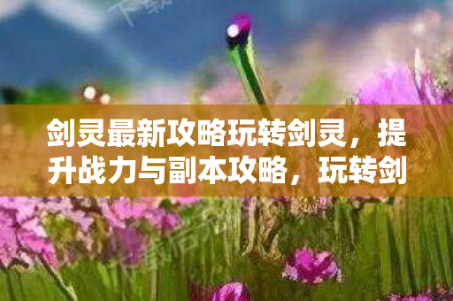 提升战力与副本攻略大揭秘图片