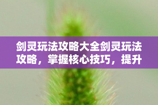 剑灵玩法攻略大全剑灵玩法攻略图片