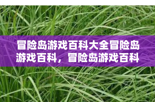 冒险岛游戏百科大全冒险岛游戏百科图片