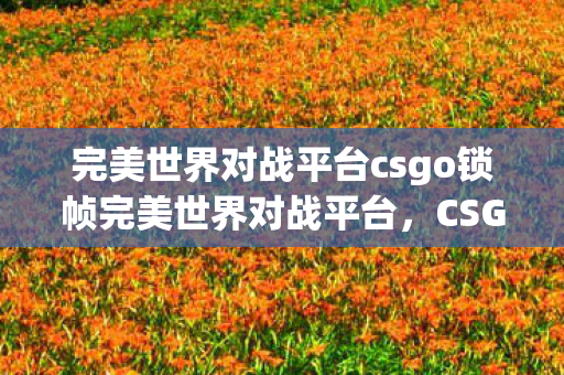 完美世界对战平台csgo锁帧完美世界对战平台，CSGO竞技新体验，完美对战平台助力CSGO竞技新体验，锁帧技术打造流畅对战