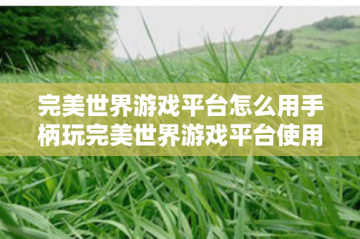 完美世界游戏平台怎么用手柄玩完美世界游戏平台使用指南，完美世界游戏平台使用指南，如何用手柄玩转游戏