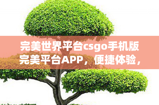 完美世界平台csgo手机版完美平台APP图片
