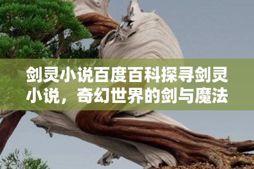剑灵小说百度百科探寻剑灵小说图片