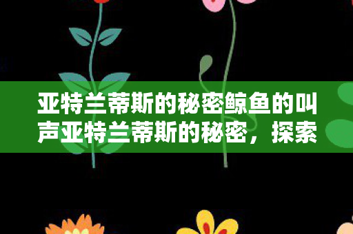 亚特兰蒂斯的秘密鲸鱼的叫声亚特兰蒂斯的秘密，探索古老文明的未解之谜，亚特兰蒂斯的秘密，探索古老文明与鲸鱼叫声的未解之谜