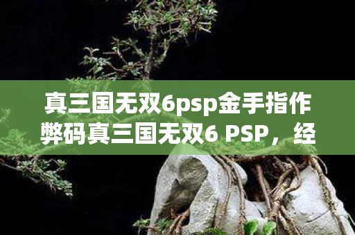 真三国无双6psp金手指作弊码真三国无双6 PSP，经典再现，掌中风云，真三国无双6PSP金手指作弊码，掌中风云再现经典