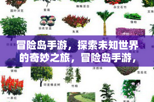 探索未知世界的奇妙之旅图片