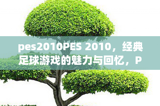 pes2010PES 2010,经典足球游戏的魅力与回忆,PES 2010,重温经典足球游戏的魅力与回忆 pes2010PES 2010,经典足球游戏的魅力与回忆,PES 2010,重温经典足球游戏的魅力与回忆