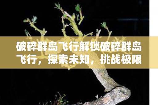 破碎群岛飞行解锁破碎群岛飞行,探索未知,挑战极限,解锁破碎群岛飞行,探索未知,挑战极限 破碎群岛飞行解锁破碎群岛飞行,探索未知,挑战极限,解锁破碎群岛飞行,探索未知,挑战极限
