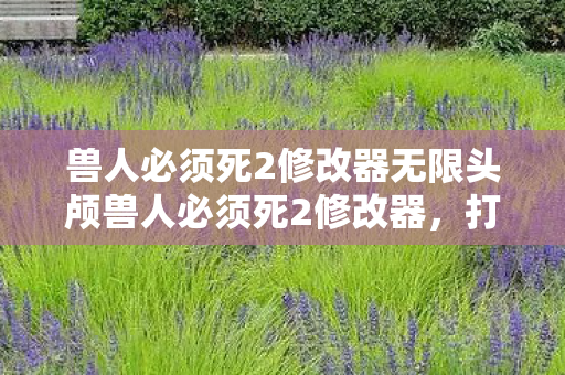 兽人必须死2修改器无限头颅兽人必须死2修改器，打造无限可能的冒险之旅，兽人必须死2修改器，解锁无限头颅，开启冒险之旅新篇章