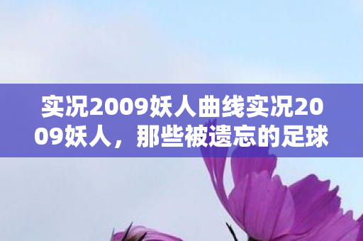 实况2009妖人曲线实况2009妖人，那些被遗忘的足球天才，实况2009妖人，那些被遗忘的足球天才