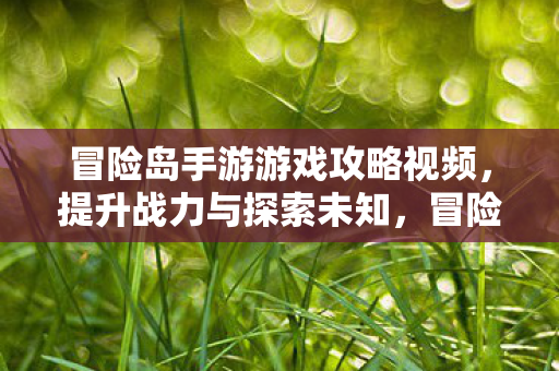 冒险岛手游战力提升与探索攻略视频图片