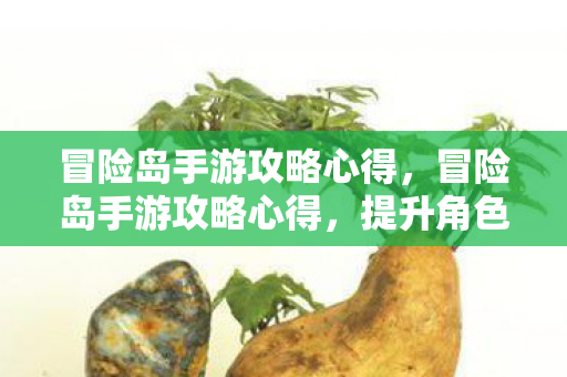 提升角色实力与游戏乐趣图片