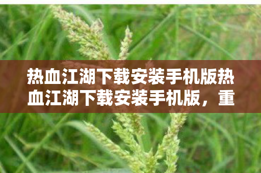 热血江湖下载安装手机版热血江湖下载安装手机版图片