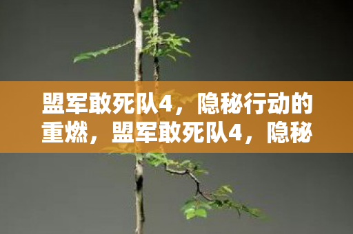 盟军敢死队4，隐秘行动的重燃，盟军敢死队4，隐秘行动重燃战火