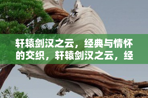 轩辕剑汉之云,经典与情怀的交织,轩辕剑汉之云,经典与情怀的完美交织 轩辕剑汉之云,经典与情怀的交织,轩辕剑汉之云,经典与情怀的完美交织
