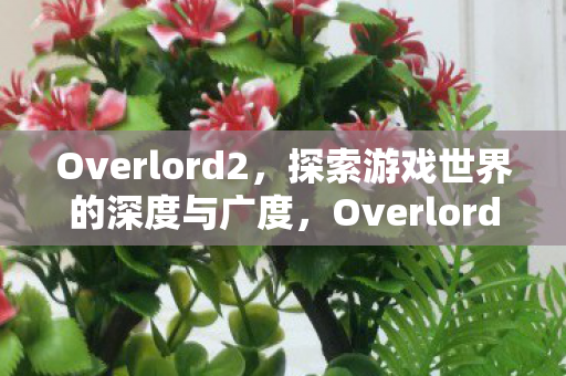 Overlord2，探索游戏世界的深度与广度，Overlord2，探索游戏世界的深度与广度