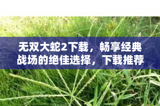 无双大蛇2下载,畅享经典战场的绝佳选择,下载推荐无双大蛇2,重温经典战场的绝佳选择 无双大蛇2下载,畅享经典战场的绝佳选择,下载推荐无双大蛇2,重温经典战场的绝佳选择