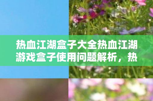 热血江湖盒子大全热血江湖游戏盒子使用问题解析，热血江湖游戏盒子使用指南，解决你的所有疑问