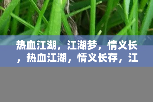 江湖梦未醒图片