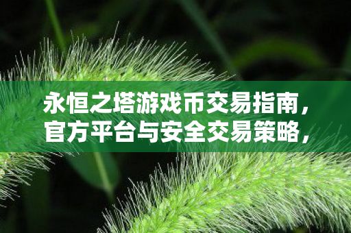 永恒之塔游戏币交易全攻略图片