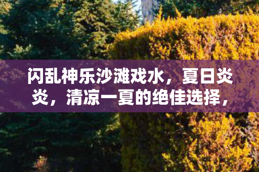 闪乱神乐沙滩戏水，夏日炎炎，清凉一夏的绝佳选择，夏日清凉，闪乱神乐沙滩戏水，尽享夏日炎炎中的清凉乐趣
