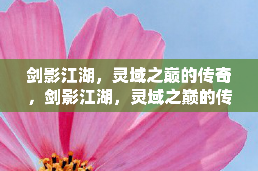 灵域之巅的传奇之旅图片