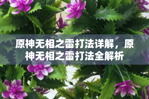 原神无相之雷打法全解析图片