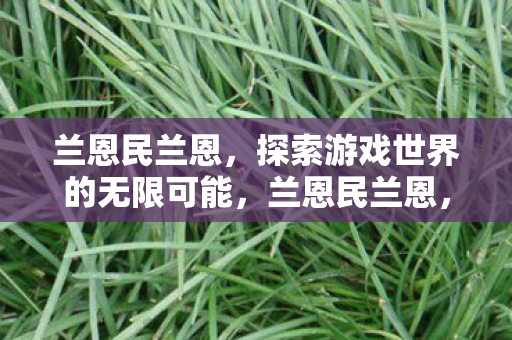 兰恩民兰恩，探索游戏世界的无限可能，兰恩民兰恩，探索游戏世界的无限可能