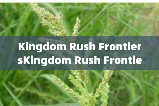 Kingdom Rush FrontiersKingdom Rush Frontier，探索未知，挑战极限，Kingdom Rush Frontier，探索未知，挑战极限