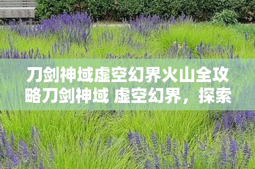 刀剑神域虚空幻界火山全攻略刀剑神域 虚空幻界，探索虚拟世界的无限可能，探索虚拟世界的无限可能，刀剑神域 虚空幻界火山全攻略