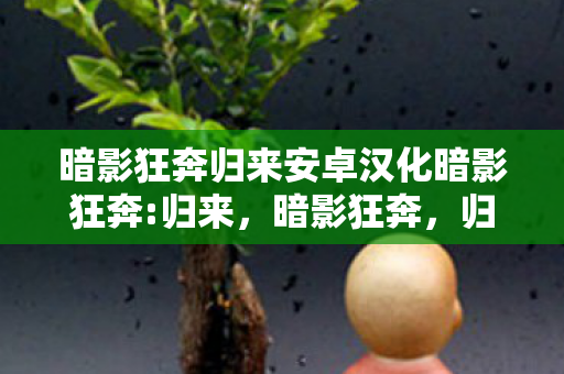暗影狂奔归来安卓汉化暗影狂奔:归来，暗影狂奔，归来安卓汉化版