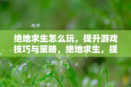 绝地求生怎么玩，提升游戏技巧与策略，绝地求生，提升游戏技巧与策略全解析