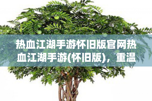 热血江湖手游怀旧版官网热血江湖手游图片