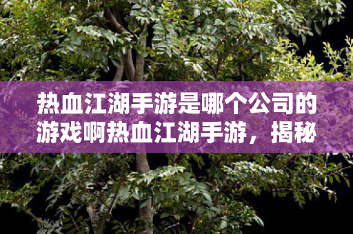热血江湖手游是哪个公司的游戏啊热血江湖手游图片