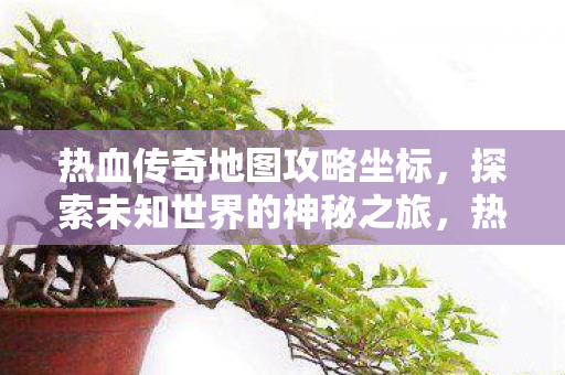 热血传奇地图攻略坐标，探索未知世界的神秘之旅，热血传奇地图攻略，探索未知世界的神秘之旅